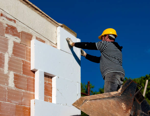 Best Commercial Insulation in Windcrest, TX