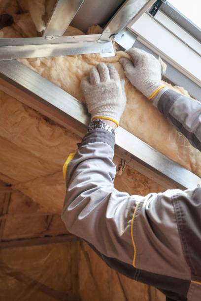 Best Insulation Installation Services in Windcrest, TX